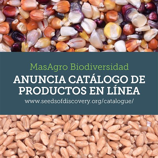 PRODUCTS CATALOGUE
